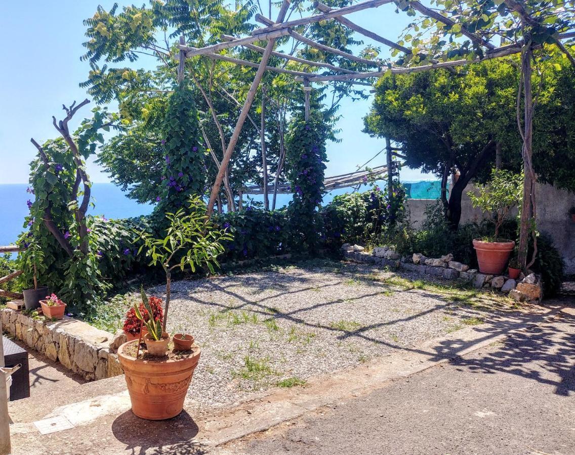 Il Limoneto Apartman Furore Kültér fotó